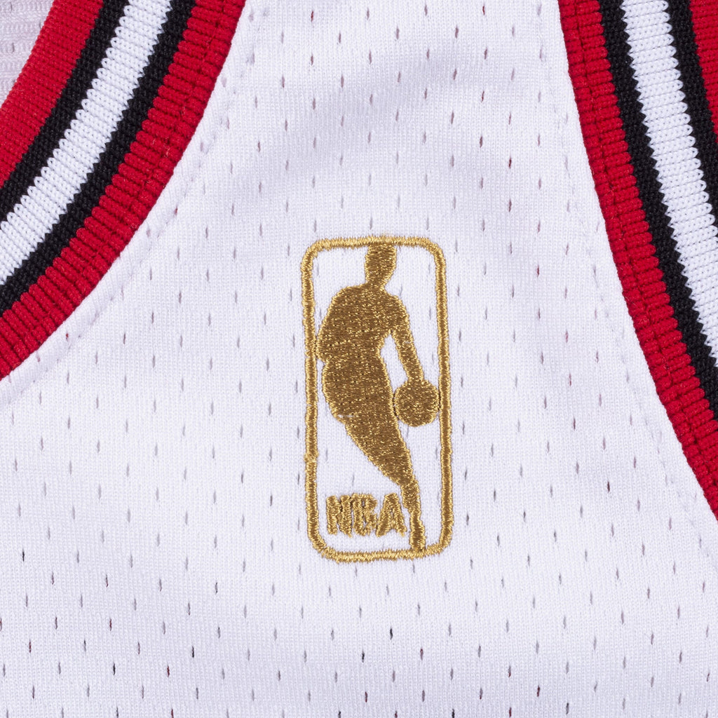 Michael Jordan Chicago Bulls 1995-96 Authentic Jersey