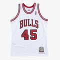 Michael Jordan Chicago Bulls 1994-95 Authentic Jersey