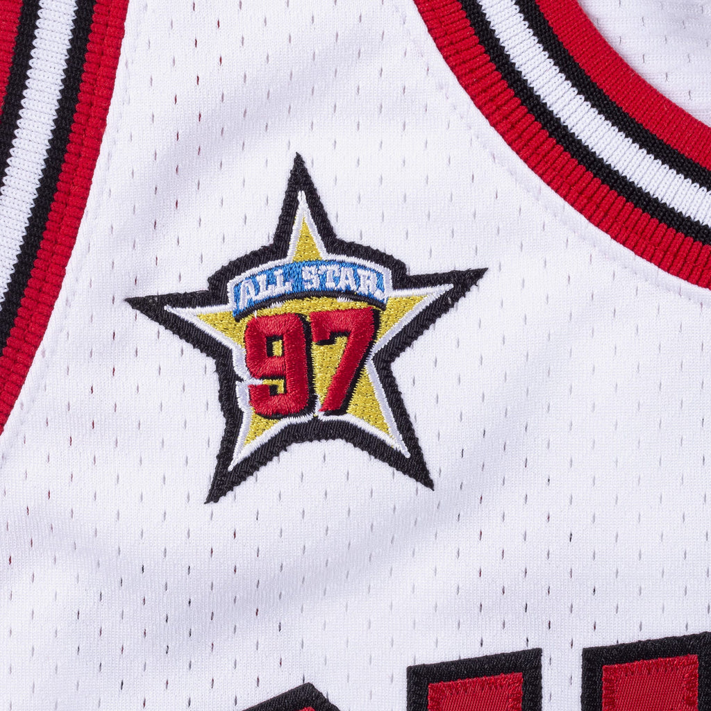 Michael Jordan Chicago Bulls 1995-96 Authentic Jersey