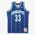 Alonzo Mourning Charlotte Hornets 1994-95 Authentic Alternate Jersey