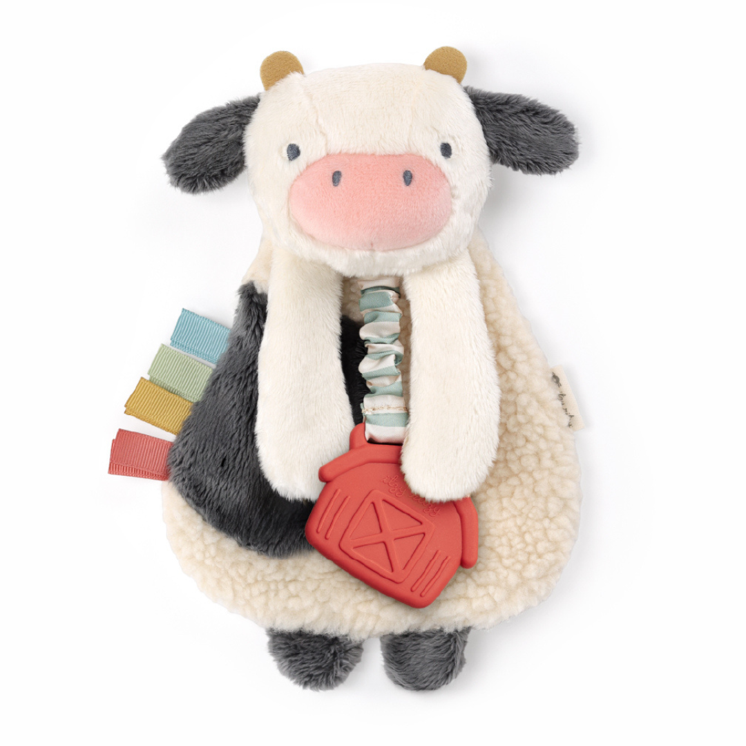 1_586a5123-8427-475f-a677-3e3bb2cc8afd Itzy Lovey™ Plush and Teether Toy - Image 1