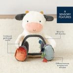 Itzy Bitzy Mirror™ Sensory Tummy Time Mirror - Image 13