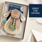 Itzy Lovey™ Plush and Teether Toy - Image 37