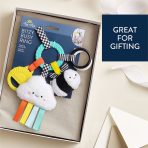Bitzy Busy Ring™ Teething Activity Toy - Image 43