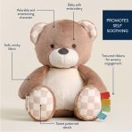 Teddy Blue Diaper Bag Bundle - Image 5